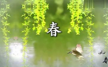 青春校园演讲稿600字6篇