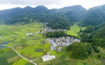 村主任年述职报告模板5篇