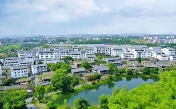 村主任年述职报告通用7篇