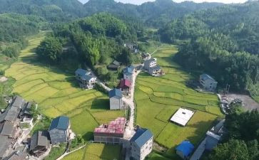 村总支述职报告8篇