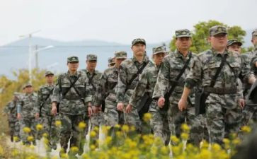 实习带队工作总结5篇