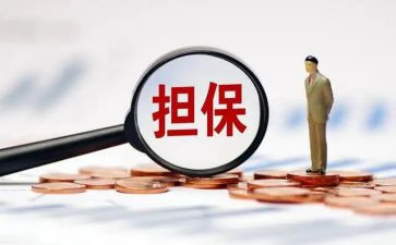担保公司年度工作总结6篇