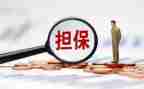 担保公司年度工作总结6篇