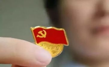 2023党务工作总结6篇