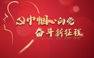 党述职总结报告模板6篇