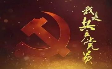 党建办工作总结5篇
