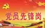 党述职总结报告最新8篇