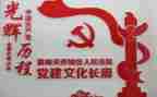 局党组书记党建工作述职报告6篇