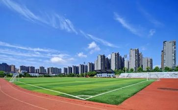 大学述职报告2023范文精选5篇