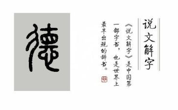 德育和班主任培训心得5篇