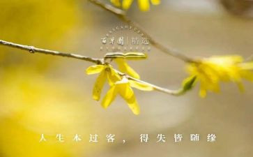 得与失400字演讲稿范文5篇