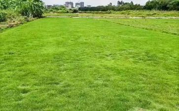 地税个人工作总结优秀6篇