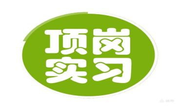学生顶岗自我总结5篇