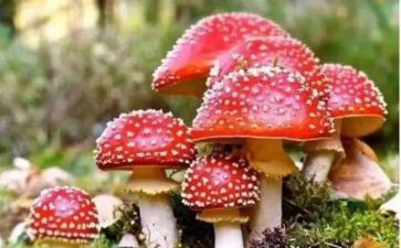禁毒心禁毒心得体会6篇