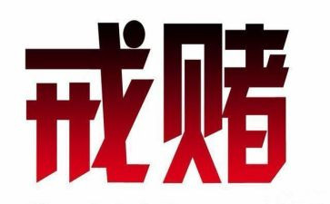 赌和毒的观看心得体会模板6篇