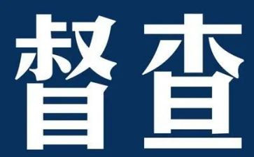 局督察工作总结8篇