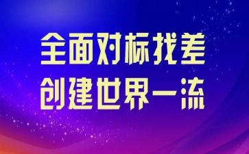 乡镇财政对标工作总结模板8篇