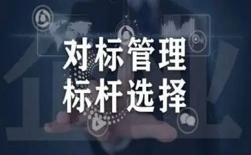 公司对标工作总结计划推荐8篇