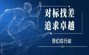 招标对标工作总结6篇
