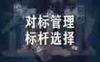 公司对标工作总结计划推荐8篇