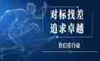 招标对标工作总结6篇