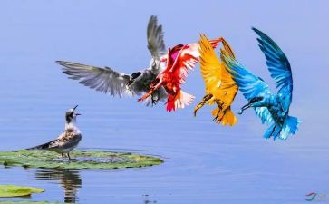 多彩的夏天作文优秀8篇