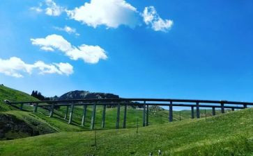 多彩的夏天作文6篇