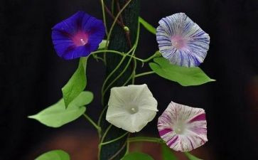 多彩的我作文400字通用5篇