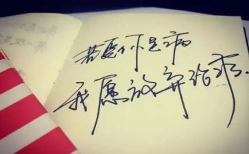 改的开放史心得体会7篇