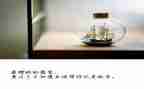 放牛歌教案6篇