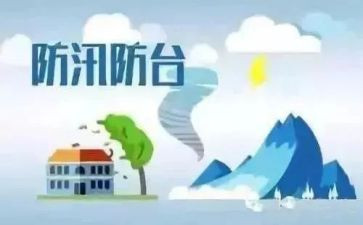 防台风总结报告7篇