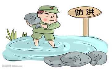 防汛总结报告5篇