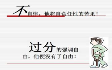 2.0个人总结反思通用6篇