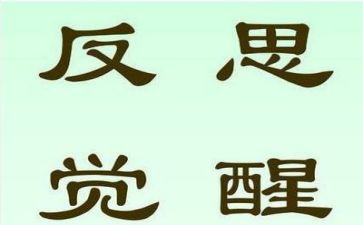 反思式工作总结优质7篇