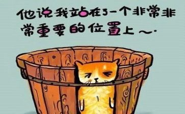 总结与反思作文1000字6篇