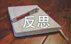 个人总结与反思最新7篇