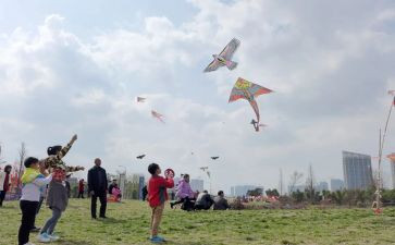 《追风筝的人》读书心得最新8篇