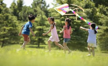 《理想的风筝》读后感5篇