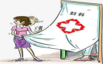 2024年度妇产科护士工作总结6篇