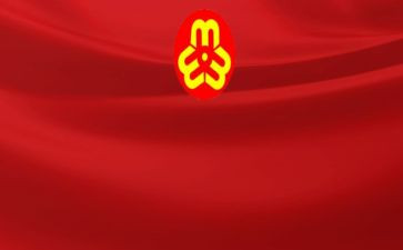 去妇联工作总结精选6篇