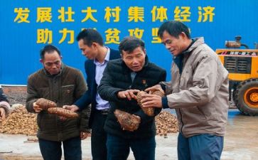 镇扶贫述职报告8篇