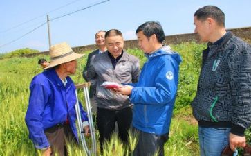 扶扶贫工作总结推荐7篇