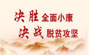 扶贫工作年度工作总结参考8篇