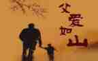 我的父亲800字作文6篇