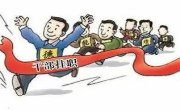 村副职工作总结5篇
