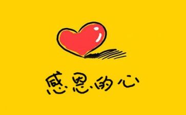 感恩教师的活动总结通用5篇