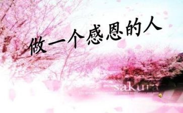 感恩的心演讲稿400字优质6篇