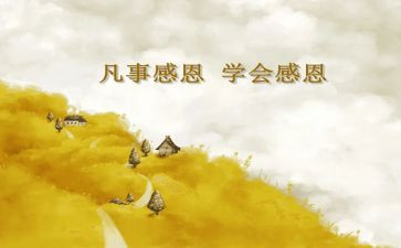 感恩教师演讲稿500字5篇