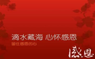 感恩的作文600字作文优质5篇