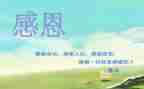 感恩的心心得体会作文8篇